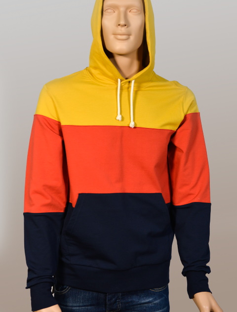 Sweatshirt / Hoodie